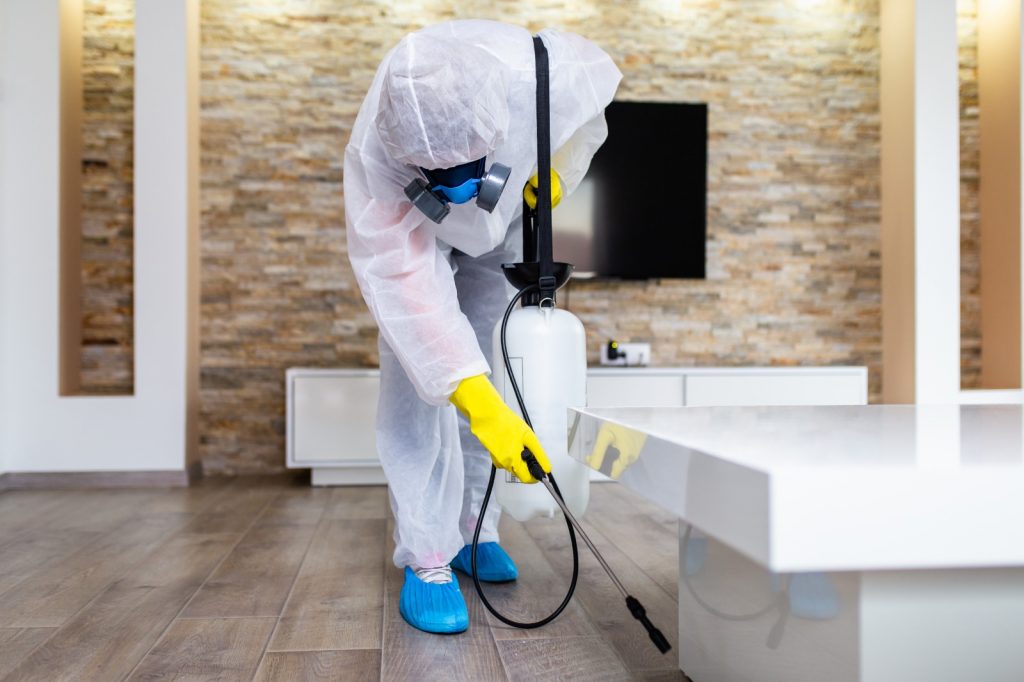 Disinfection and sanitizing  service