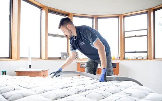 Mattress and drapery Cleaning